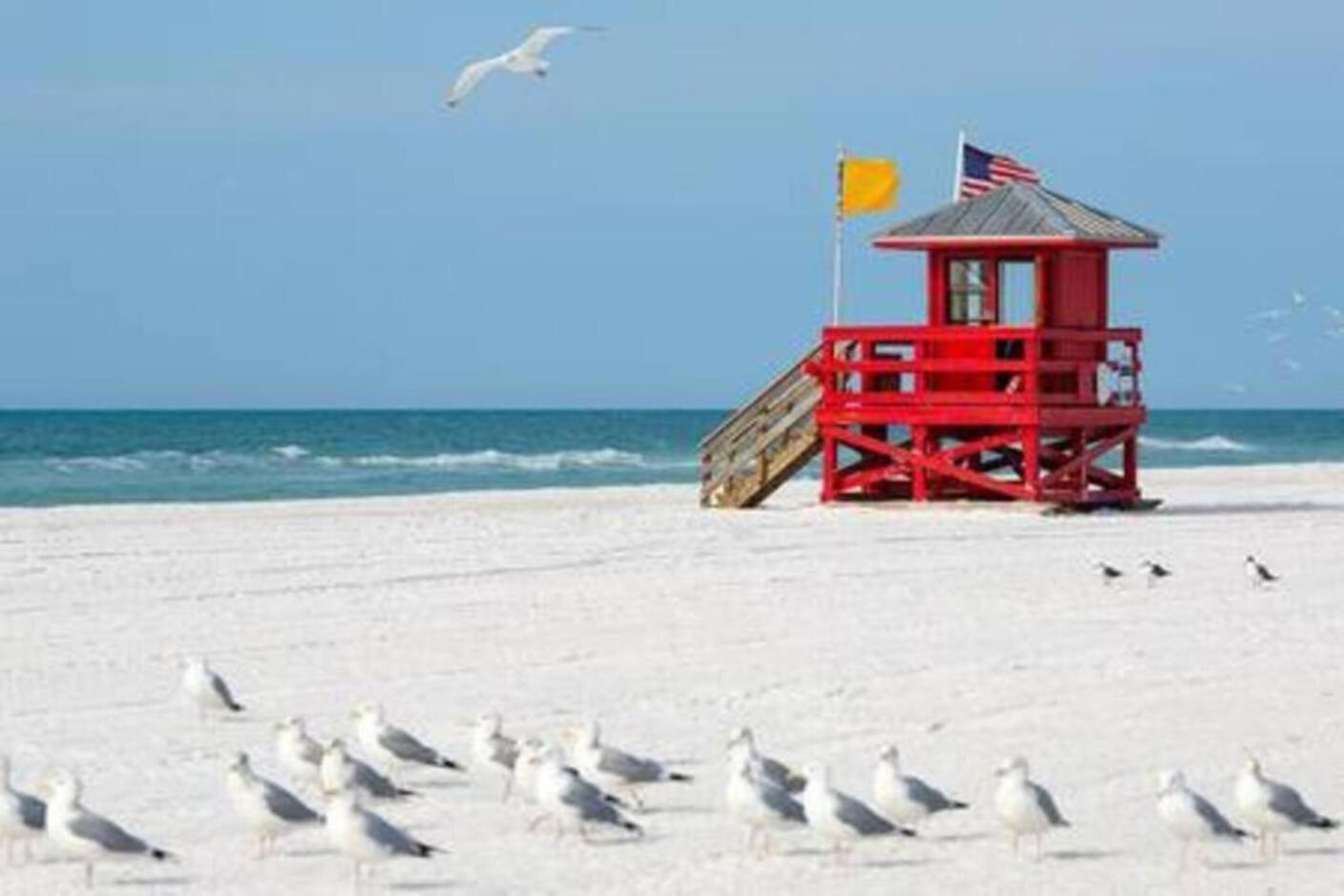 Fantastic Island House 1 Mile To The Beach With Heated Pool Sarasota Bagian luar foto